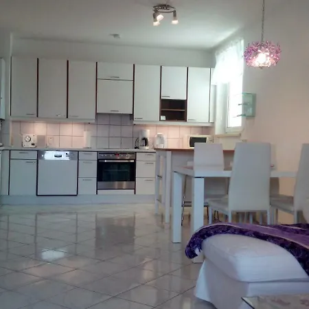 Orchidee * Wiener Neudorf