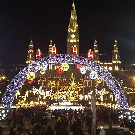 Orchidee Wiener Neudorf