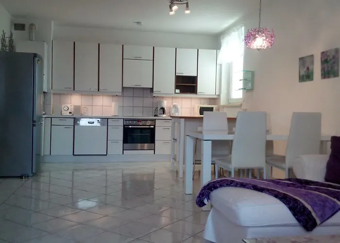 Orchidee * Wiener Neudorf